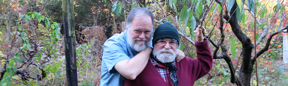 David Milley and Warren Davy in backyard garden